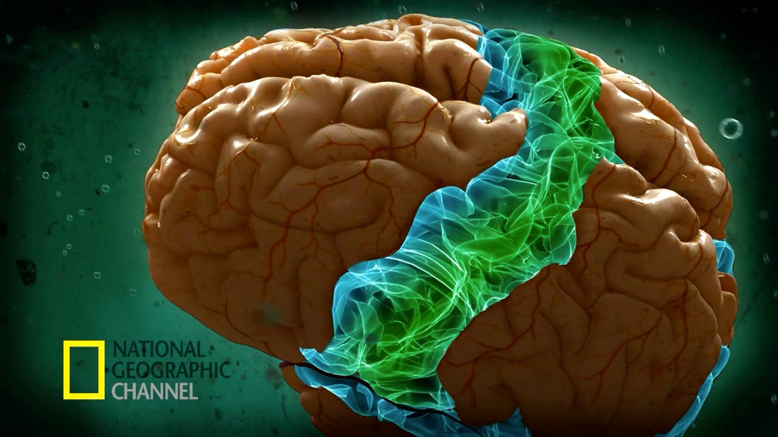 National Geographic animated brain